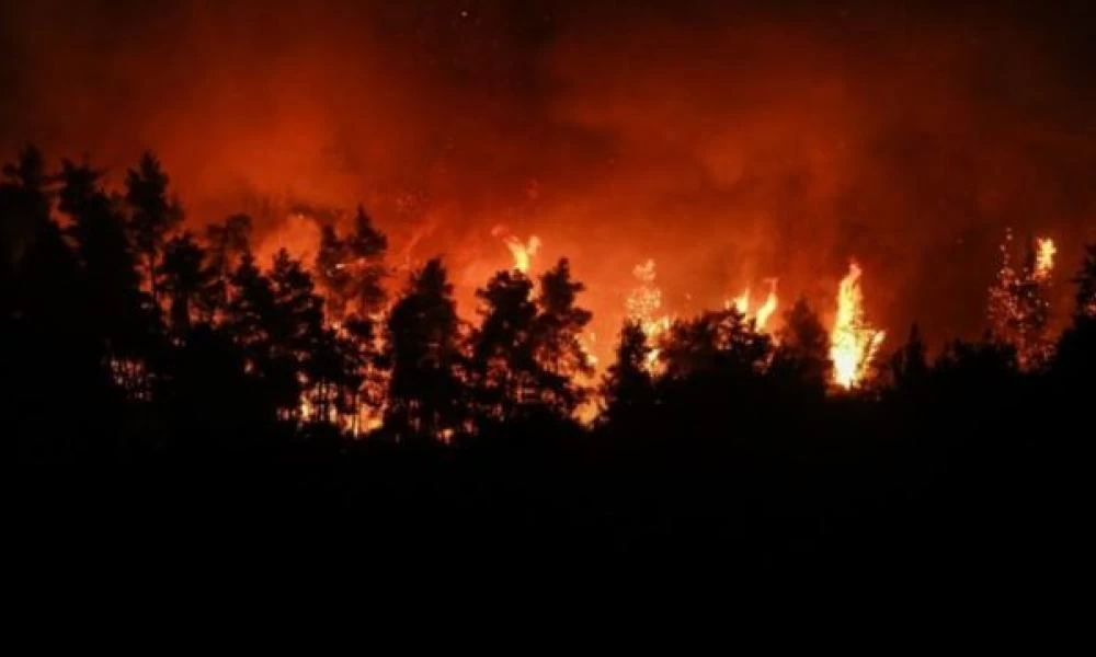 Πρόβλεψη σοκ – Ανά τρία χρόνια πλέον ο… «κλιματικός Eωσφόρος» με θερμοκρασίες 50 βαθμών Κελσίου